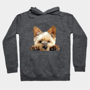 Yorkie Cuteness - Yorkshire Terrier Puppy Dog Paws Hoodie